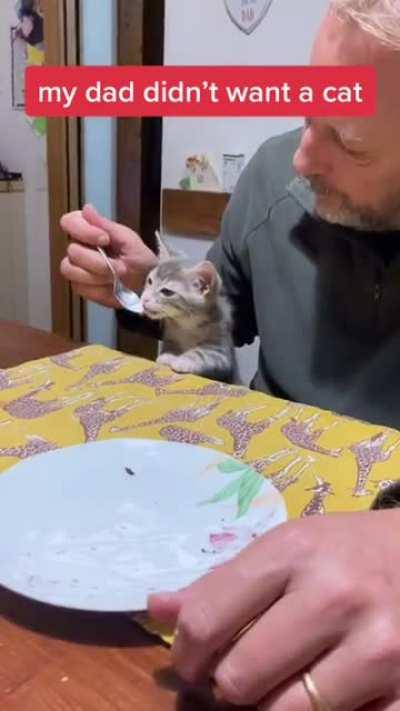 They are now inseparable