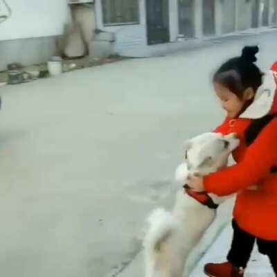 Dog is so happy after seeing his master...