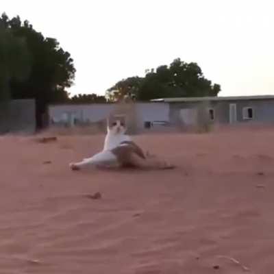 Wait! What happened just now!??