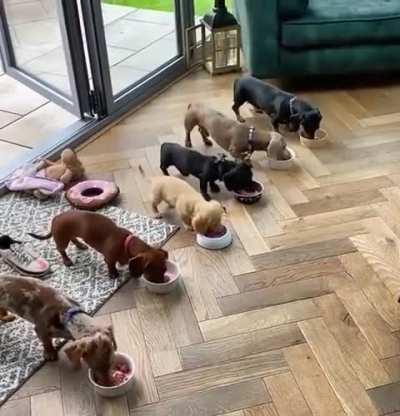 Preparar... Apontar... FOGO!!!!!!!