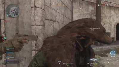 Sometimes, kills do come from the sky