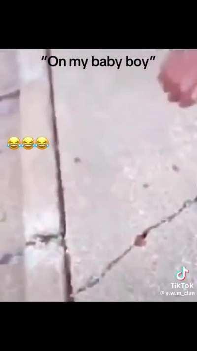 nba funboy 😭😭💀