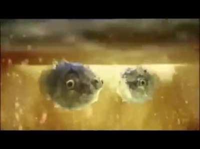 Реклама пива