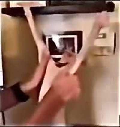 bingis does the funny