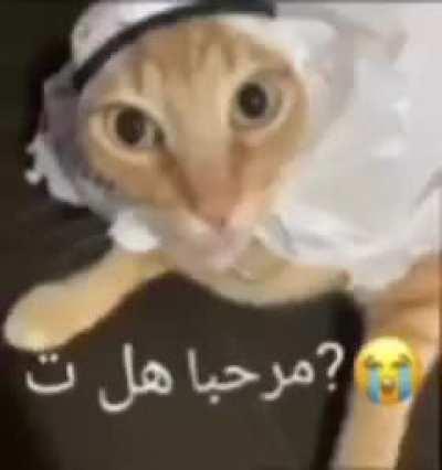 😭😭😭😭😭😭😭😭😭