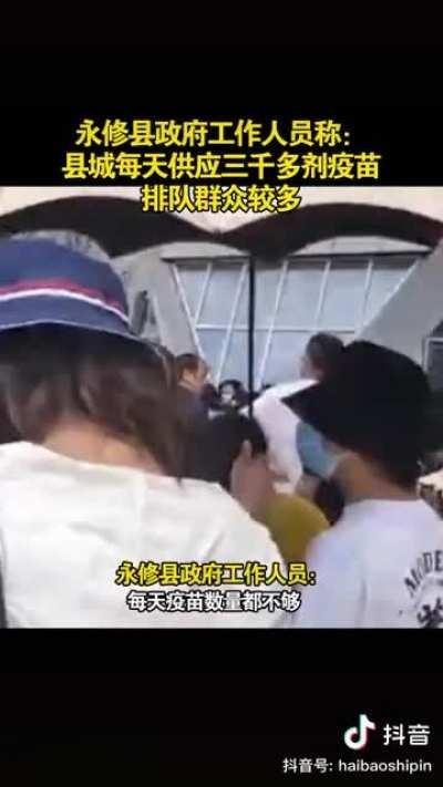 芝麻猪怎么这么怕死