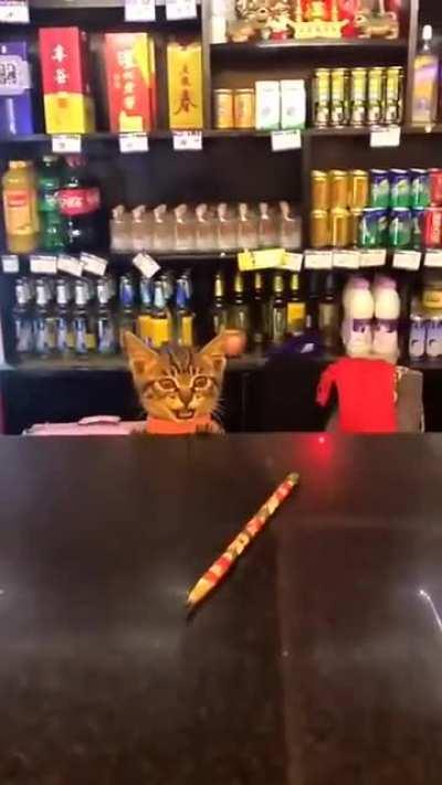 Shopkeeper Kitty