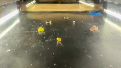 My cloud chamber :)