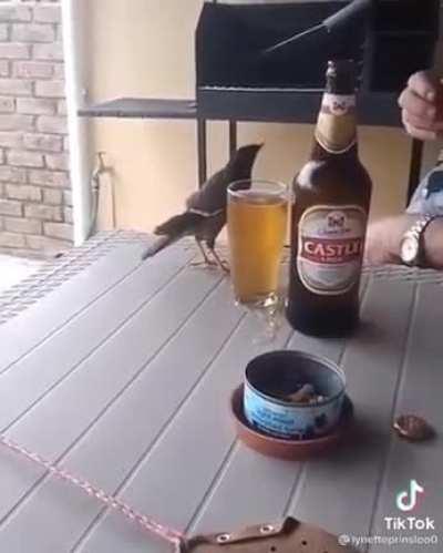 To drink a beer 