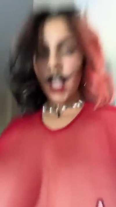 papalechera/treslechichi