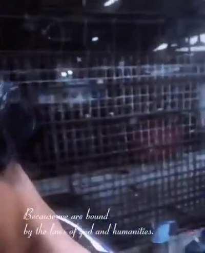 Thorfin Batongbakal doesn't have enemies. 😌🤝