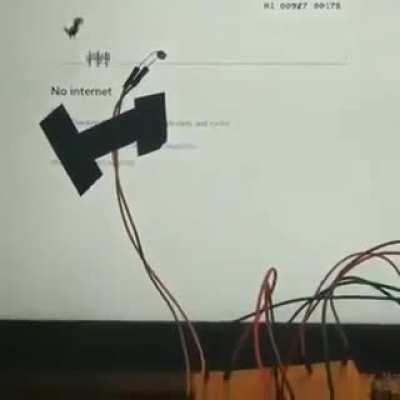 I got 99 problems, but cacti ain't one