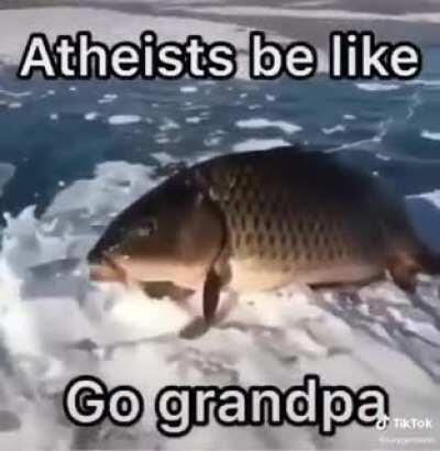 🐟