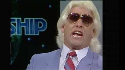 A very loud Ric Flair fan approving the nature boy's promo on Dusty Rhodes.