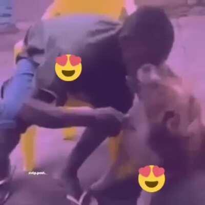 el amor de un perro =)