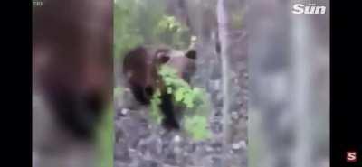 (almost) killed the cameraman