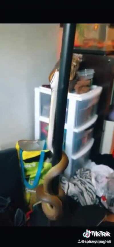 Shes someone's daughter!