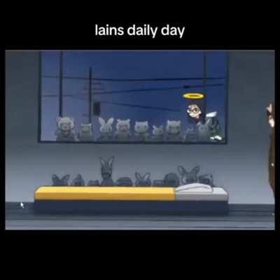 It's a peaceful life