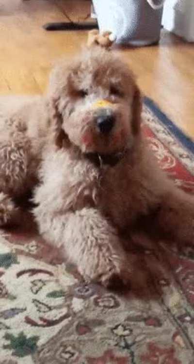 Guess this is my life now…