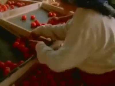 Daft Punk - Revolution 909