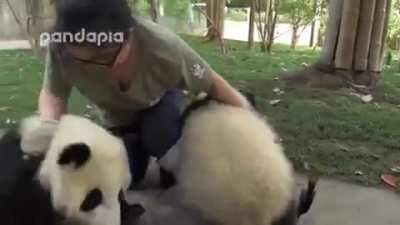 An Oldie but a Goodie