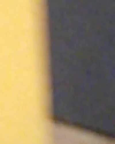 Enormous rat in the NY Subway