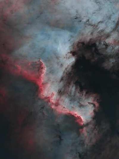 Starry to Starless Cygnus Wall