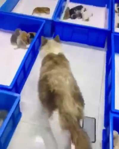 The best mother ever