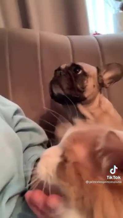 На его месте должен был быть я!