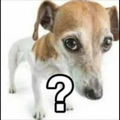 the most random video you will ever see, better watch tho