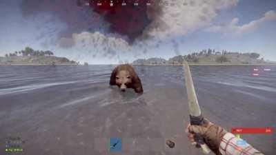 I thought he was going to keep running :(