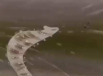 Pizza Delivery Spongeboy me bob