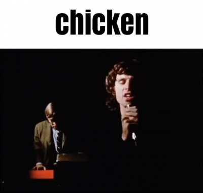 chicken