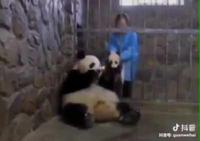 The ol’ apple/baby switch-a-roo