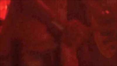 Twin Peaks: Fire Walk with Me (1992), R-Rated, Anne Gaybis (boobs, ass, shaved pussy)