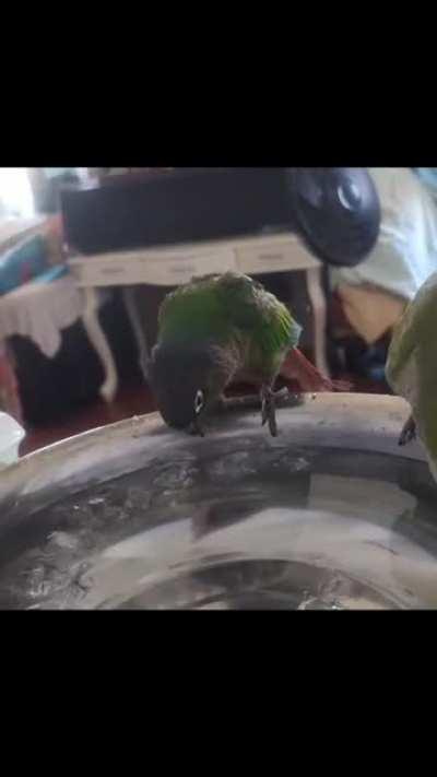 VERY rare moment of me getting him to say anything on camera 😆