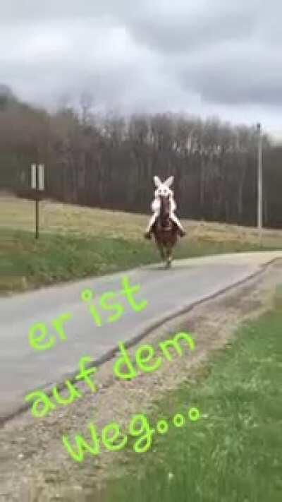 Oh nein rennt schnell weg 😱😰