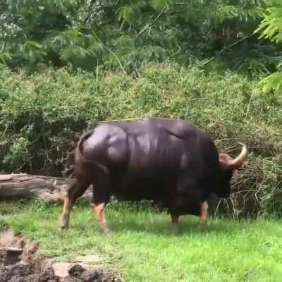 How I feel about these stocks: SOS, LKCO, CTRM, SENS and JFU!!! Let go!!!