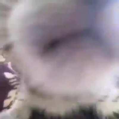 Hola buenas tardes 👋🧐