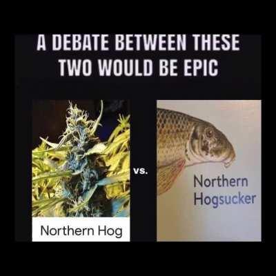 the battle of the decade