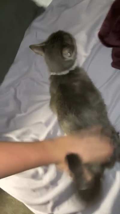 Nico? More like Freako…