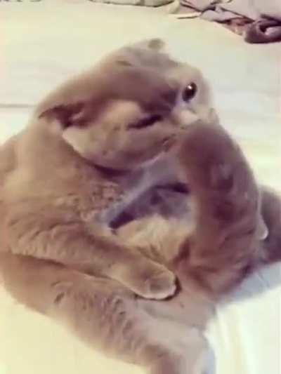 ADORABLE🥰🥰🥰