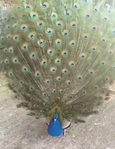 Take a minute to appreciate the beauty.