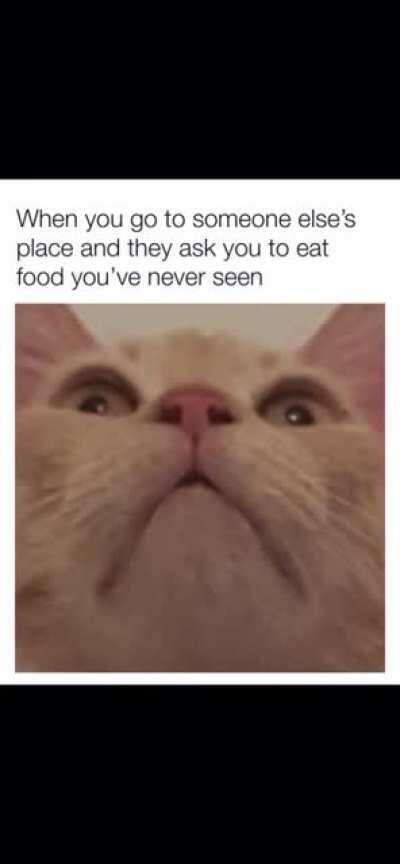 Well why the hell does it look like boiled shit