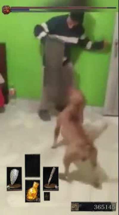 credit to u/designygued3s for the original video, found in r/ItHadToBeBrazil