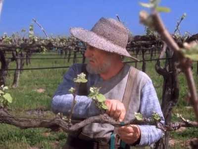 This is how the scene actually went, right?