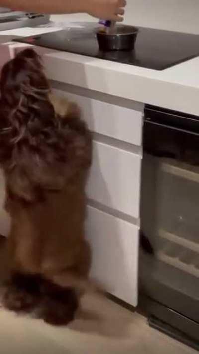 para bailar la bamba...