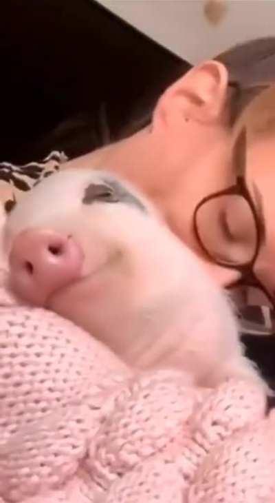 It looks like this is the happiest piglet.