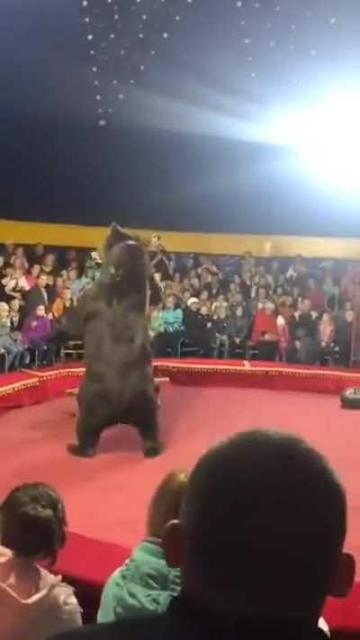 Bear attacks handler