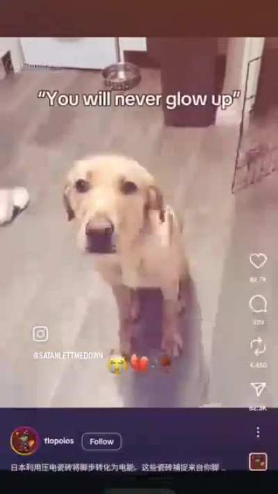 Wow, sssotuffphonkdgf